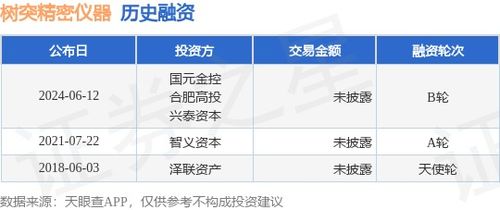 樹突精密儀器B輪融資完成，國元金控與合肥高投等機構(gòu)注資，網(wǎng)絡(luò)技術(shù)賦能高端儀器新篇章